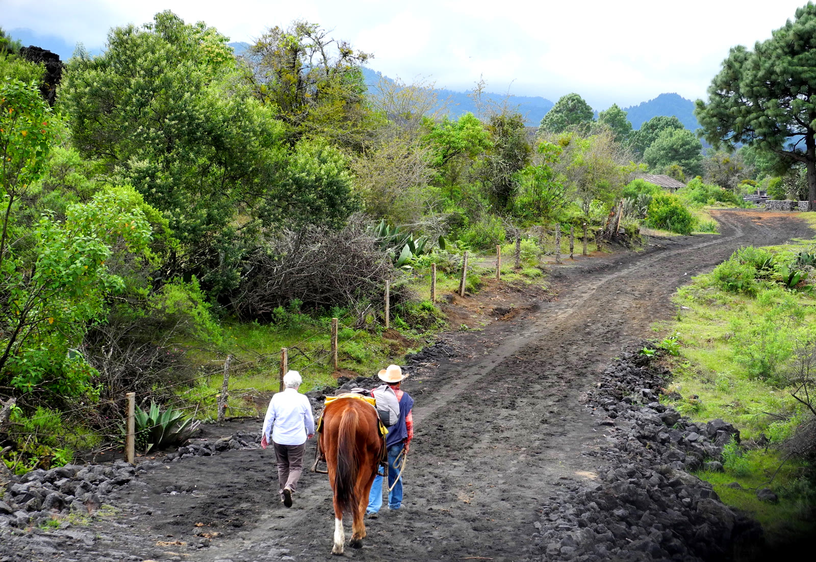 Paisaje montañoso cerca del volcán Parícutin en Michoacán